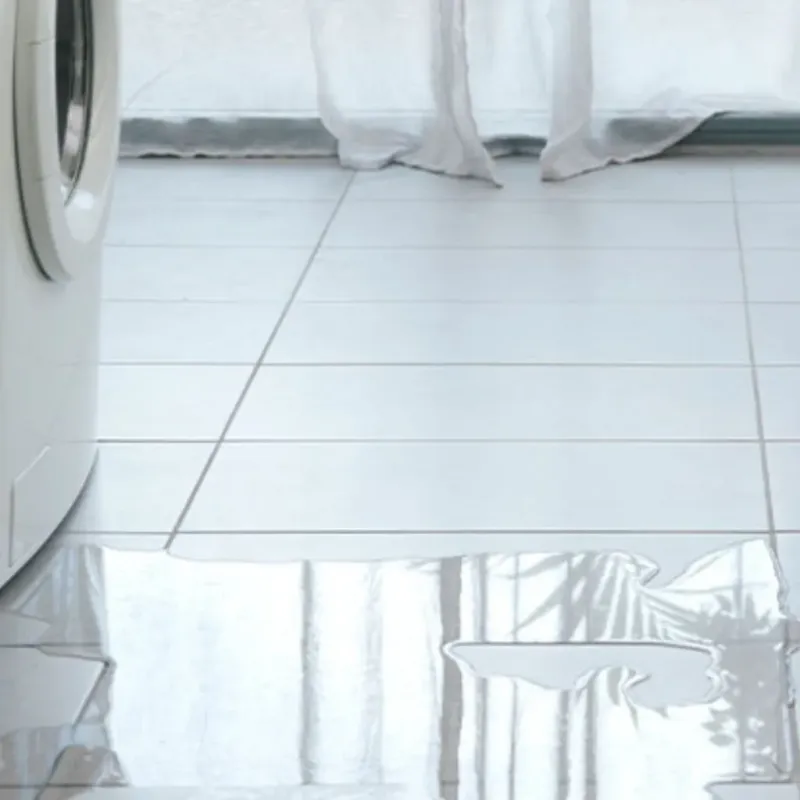Appliance Leak Cleanup in Cumberland, WI