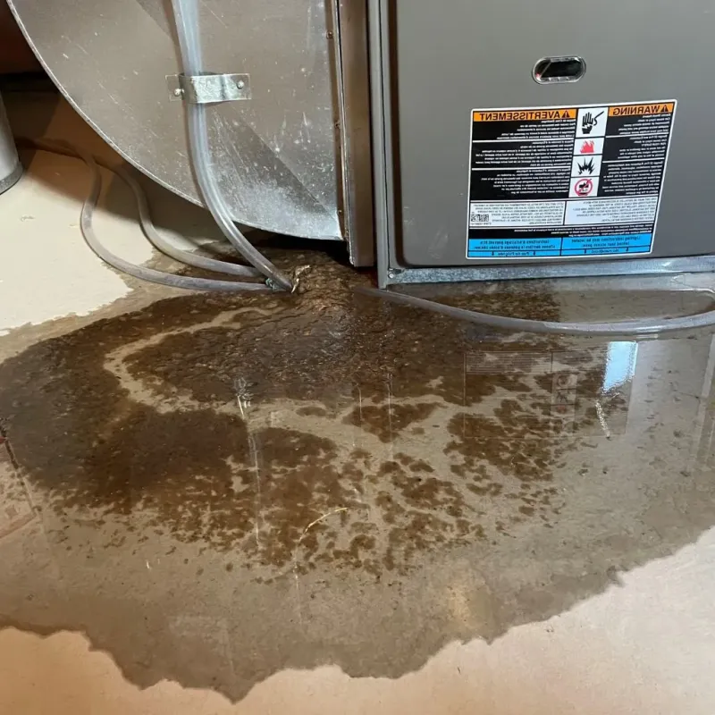 Pipe Burst and Leak Restoration in Cumberland, WI