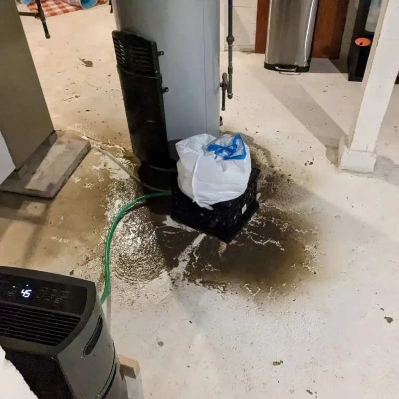 Sewage Backup Cleanup Service in Cumberland, WI